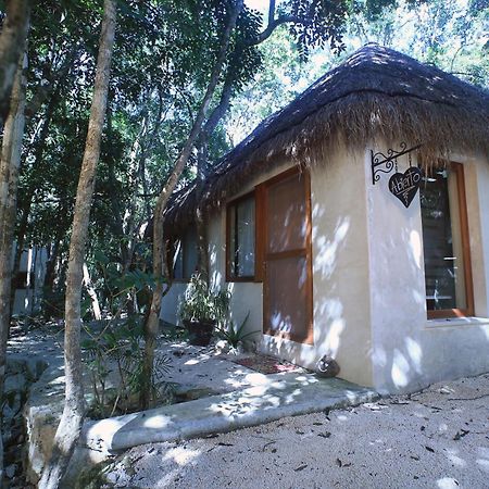 Cachito De Cielo Luxury Jungle Lodge تولوم المظهر الخارجي الصورة