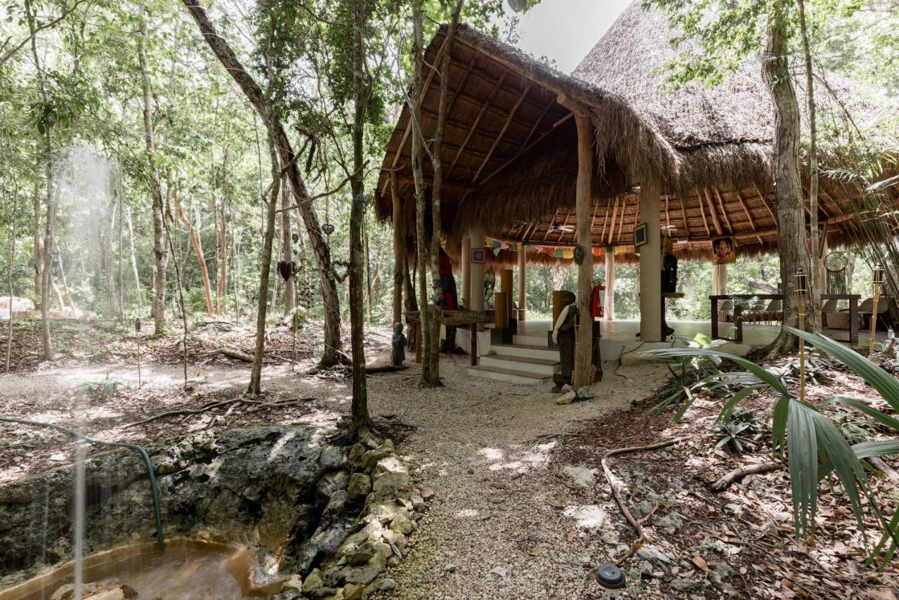 Cachito De Cielo Luxury Jungle Lodge تولوم المظهر الخارجي الصورة
