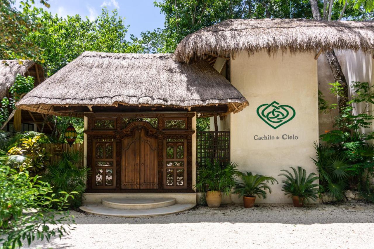 Cachito De Cielo Luxury Jungle Lodge تولوم المظهر الخارجي الصورة
